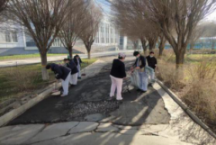 <b>涂白1500株</b>