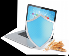 党的二十届会提出