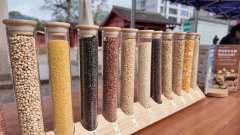 <b>宣传食物平安法令</b>